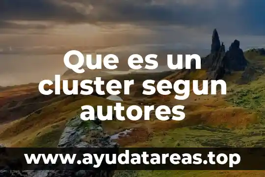 Que es un cluster segun autores