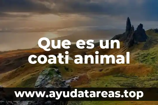 Que es el metodo animal 3 Que es un coati animal