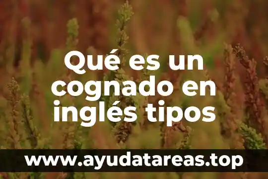 Que es el alfabeto fonetico en ingles 3 Qué es un cognado en inglés tipos