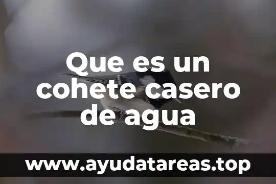 Que es la interferencia logica 6 Que es un cohete casero de agua