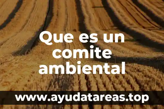 Que es un comite ambiental
