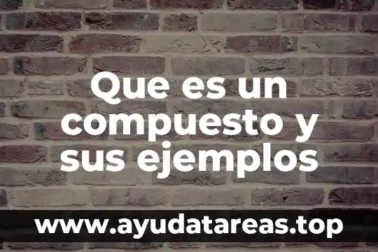 Que es defraudacion fiscal y ejemplos 5 Que es un compuesto y sus ejemplos