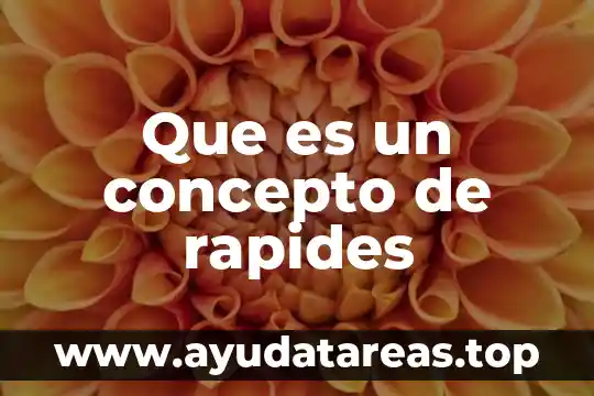 Que es un concepto de rapides
