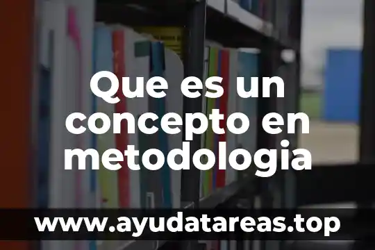 Que es un concepto en metodologia