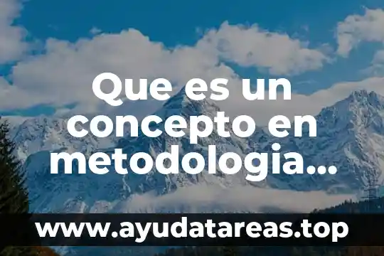 Que es un concepto en metodologia dela investigacion