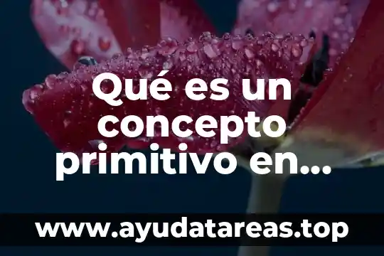 Qué es un concepto primitivo en geometría
