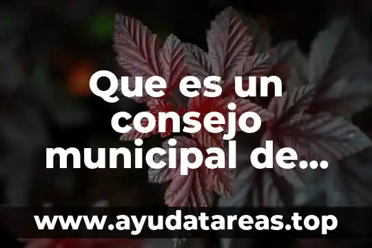 Qué es un consejo según autores en psicología 5 Que es un consejo municipal de cultura