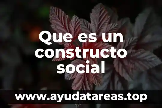 Que es un constructo social