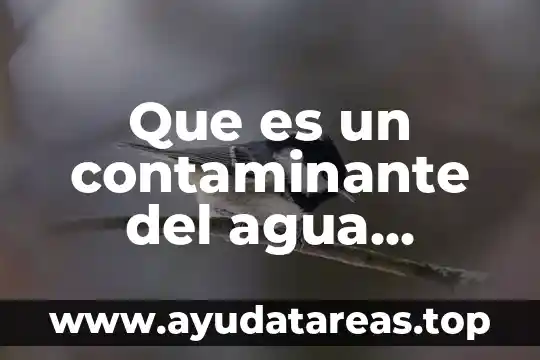 Que es intervencion educativa ventajas y desventajas 5 Que es un contaminante del agua ventajas