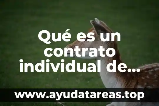 Que es la tesis de un trabajo 3 Qué es un contrato individual de trabajo por obra determinada