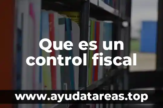 Que es un control fiscal