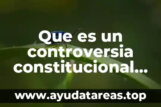 Que es un controversia constitucional en la ley de amparo