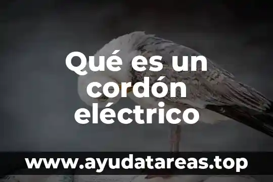 Qué es un cordón eléctrico