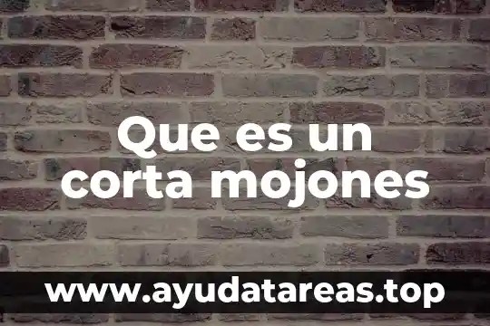 Que es un corta mojones