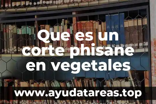 Que es un corte phisane en vegetales
