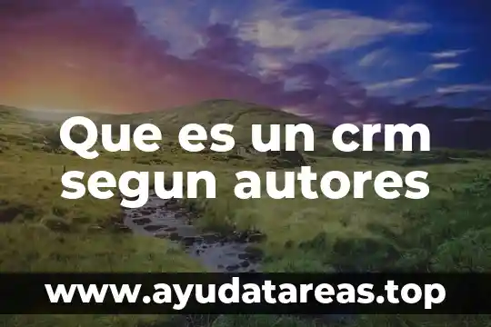 Que es un crm segun autores