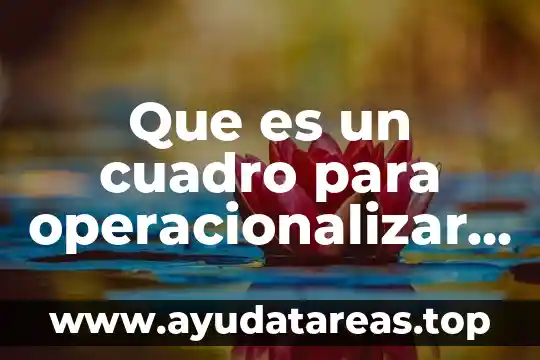 Que es un cuadro para operacionalizar actividades