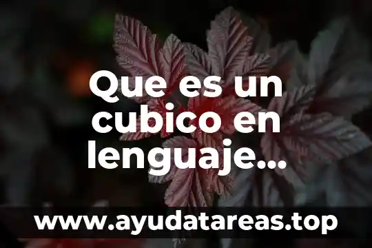 Qué es un término algebraico definición 5 Que es un cubico en lenguaje algebraico