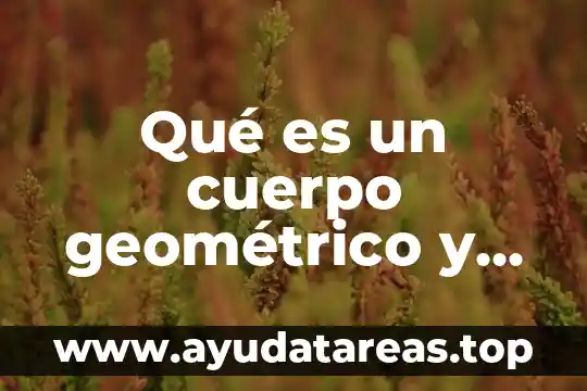 Que es una figura geometrica y un cuerpo geometrico 3 Qué es un cuerpo geométrico y cuáles son sus partes