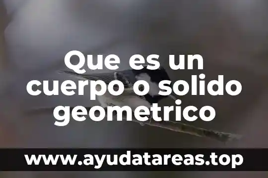 Que es una figura geometrica y un cuerpo geometrico 4 Que es un cuerpo o solido geometrico