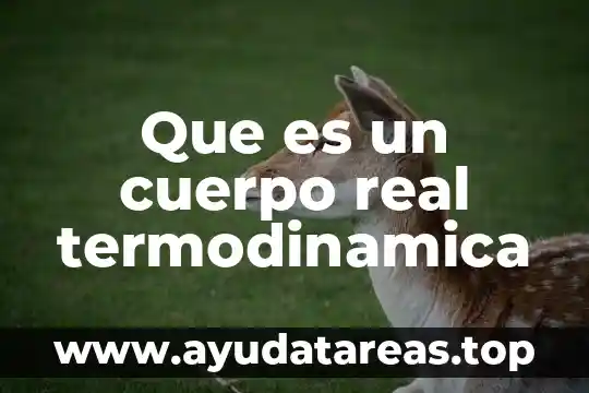 Que es cuerpo amarillo progesterona 4 Que es un cuerpo real termodinamica