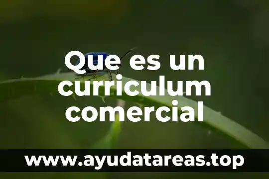 Que es un mensaje subliminal en un comercial 7 Que es un curriculum comercial