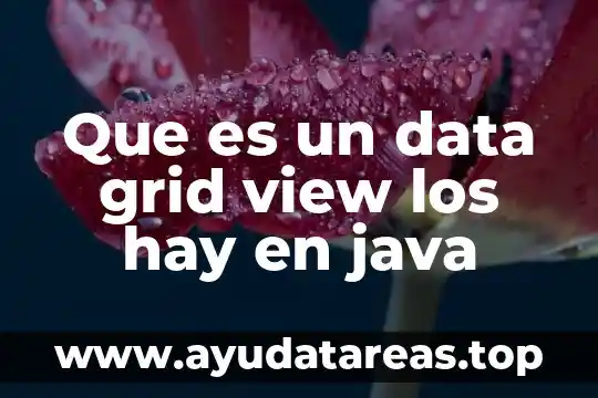 Que es un data grid view los hay en java