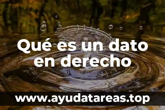 Que es verosimilitud del derecho invocado 7 Qué es un dato en derecho