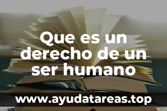 Que es lo que necesito para ser un buen 5 Que es un derecho de un ser humano