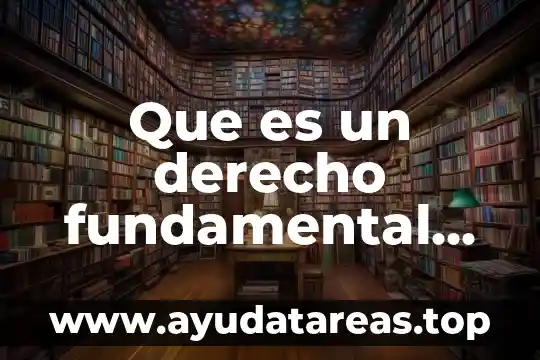 Que es un derecho fundamental social