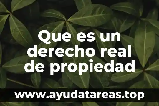 Que es el sapito en los niños 6 Que es un derecho real de propiedad