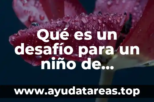 Qué es un niño de eutrofico 4 Qué es un desafío para un niño de preescolar