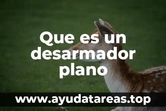 ¿Qué es un desarmador plano y de cruz? 4 Que es un desarmador plano
