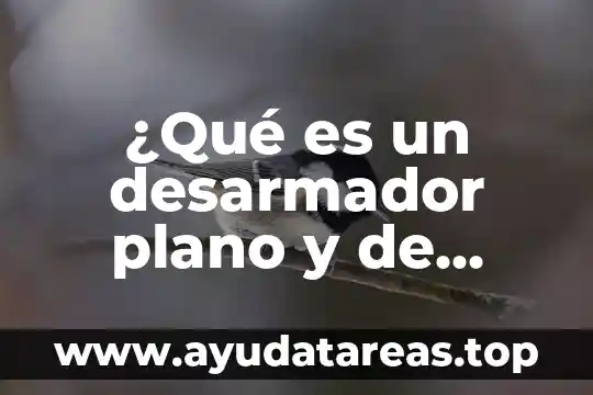 Que es un plano de zonas 7 ¿Qué es un desarmador plano y de cruz?