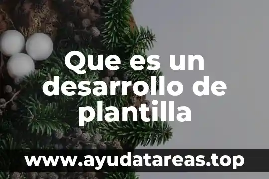 Plantilla web que es 3 Que es un desarrollo de plantilla
