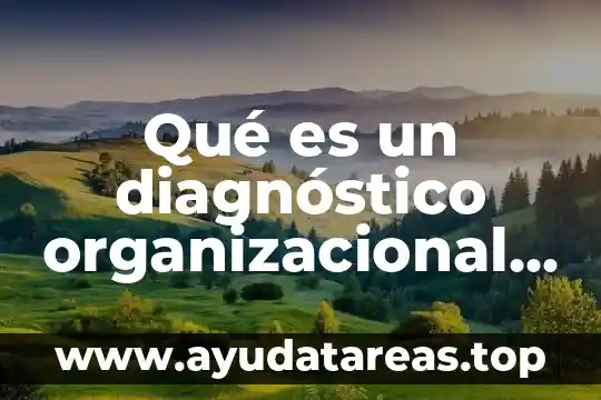 Diagnóstico topográfico ejemplos que es 7 Qué es un diagnóstico organizacional definición ventajas y beneficios