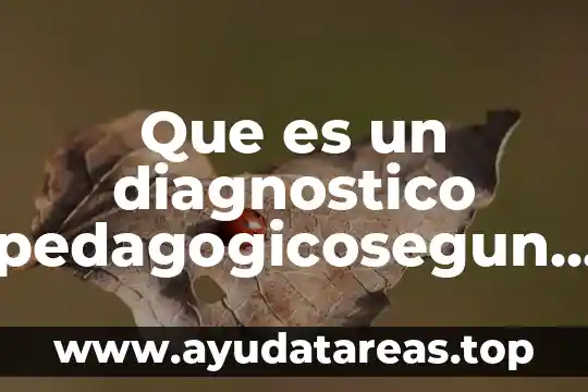 Diagnóstico topográfico ejemplos que es 6 Que es un diagnostico pedagogicosegun autores