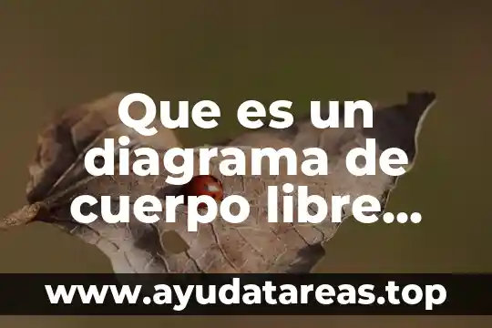 Que es el movimiento rectilineo uniforme y sus formulas 8 Que es un diagrama de cuerpo libre formulas