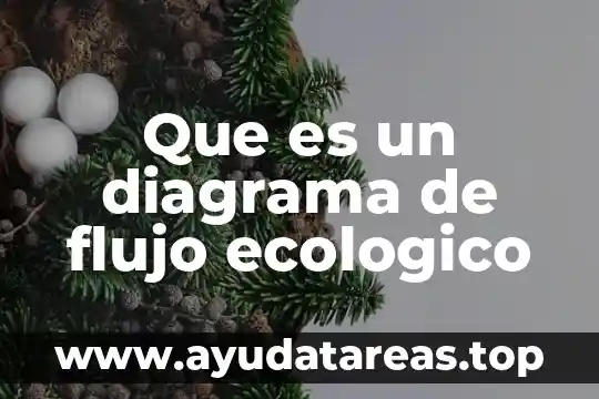 Que es un diagrama de flujo ecologico