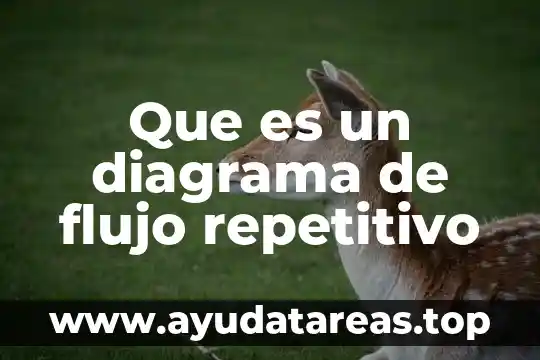 Que es un diagrama de flujo repetitivo