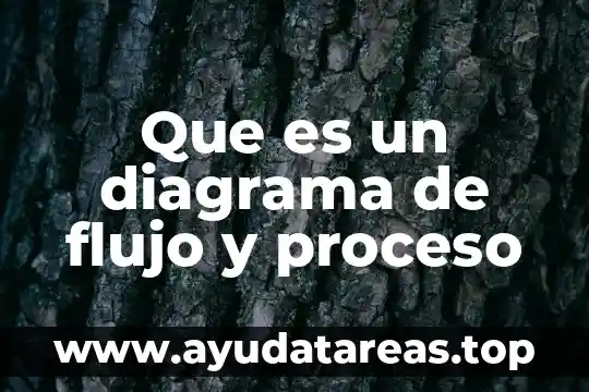 Que es un diagrama de flujo y proceso