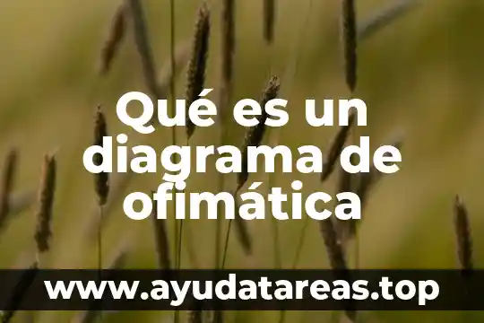 Que es bueno para que no queden cicatrices dela varicela 7 Qué es un diagrama de ofimática