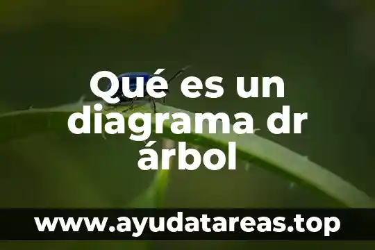 Qué es un diagrama dr árbol