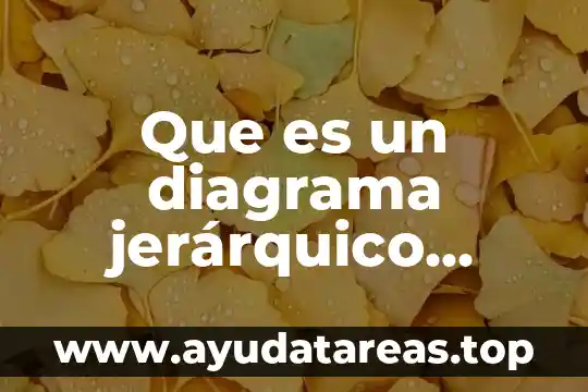 Que es un diagrama jerárquico sobre la contaminacion del agua