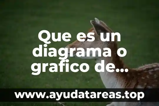 Que es un diagrama o grafico de barras