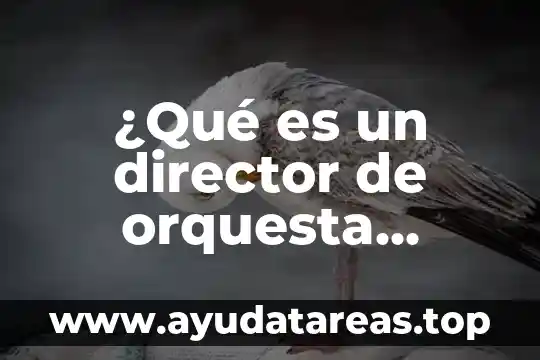 Que es la musica en el renacimiento 3 ¿Qué es un director de orquesta sinfónica o maestro de música?