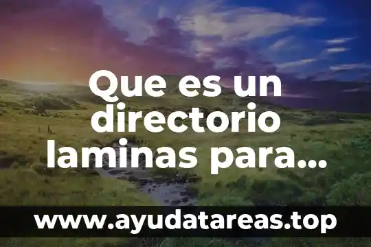 Que es un directorio laminas para niños