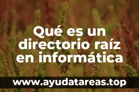 Qué es un directorio raíz en informática