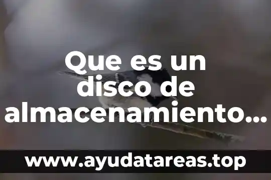 Qué es el estado sólido del agua 6 Que es un disco de almacenamiento de estado solido