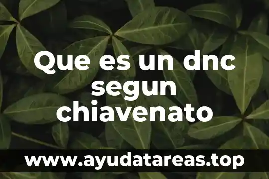 Que es un dnc segun chiavenato